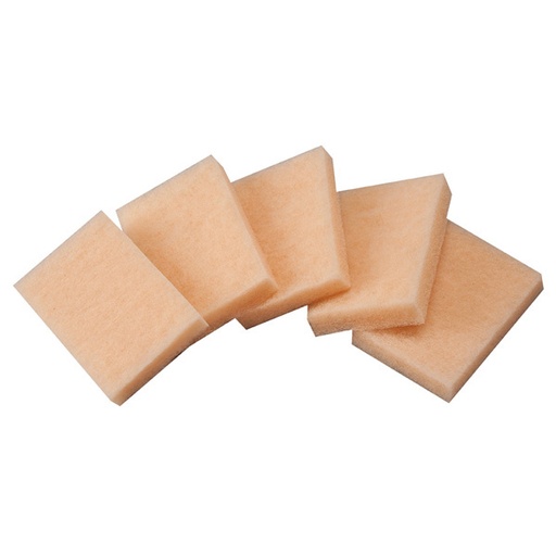 [RX1-09-00509] Aero Cosmetics Scrubber Pad 5 Pk
