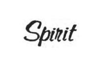[RX1-09-43788] Spirit Decal Black