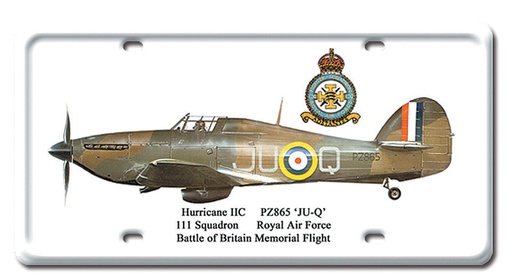 [RX1-13-08185] Hurricane 11C Metal License Plate 12X6