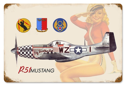 [RX1-13-08472] P-51 Salute Metal Sign 18X12