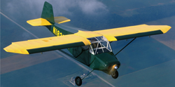 [RX1-01-00480] Buttercup Flaps & Ailerons Kit