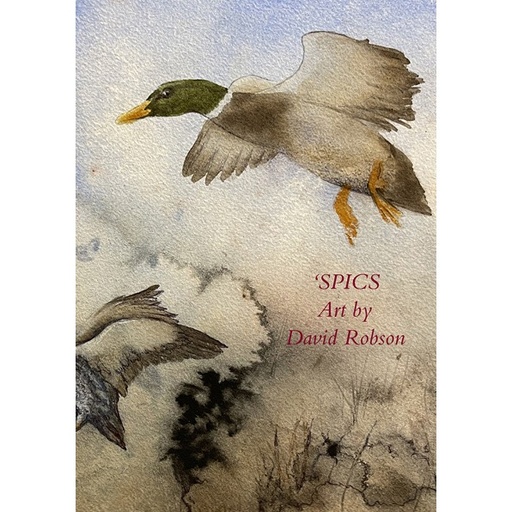 [RX1-13-25985] Aviation Theory Centre - Spics