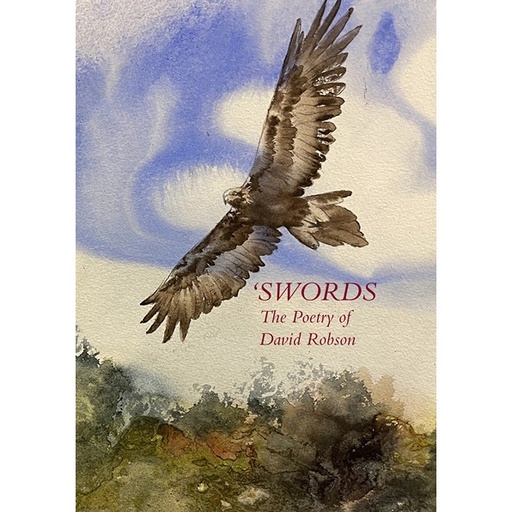 [RX1-13-25987] Aviation Theory Centre - Swords