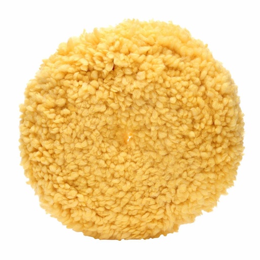 [RX1-09-06477] 3M Polishing Pad 05713 9 In
