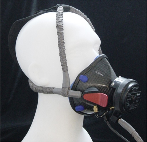 [RX1-13-12359] Aerox Diluter Demand Mask