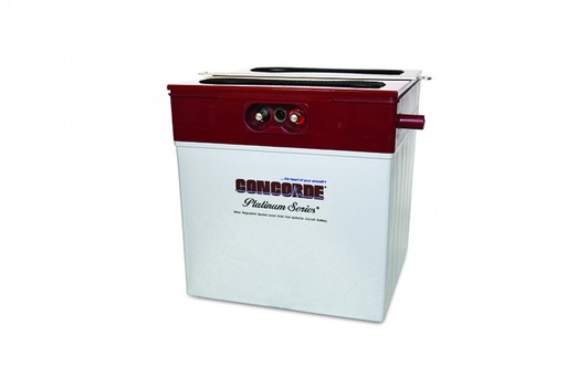 [RX22-CBC-RG380E/44] BATTERY SEALED SPA67