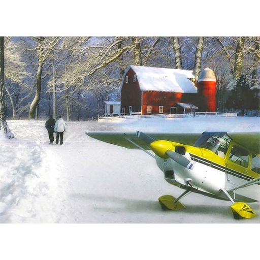 [RX1-13-17469] Yellow Citabria Country Winter Greeting Cards