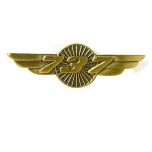 [RX1-14-01604] BOEING 737 WINGS PIN