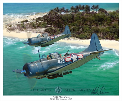 [RX1-13-15476] Sbd Dauntless- Art Print 20X24