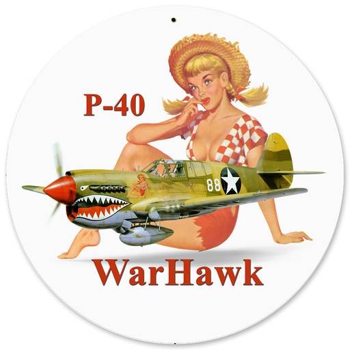 [RX1-13-08512] P-40 Warhawk Metal Sign 14 Rnd