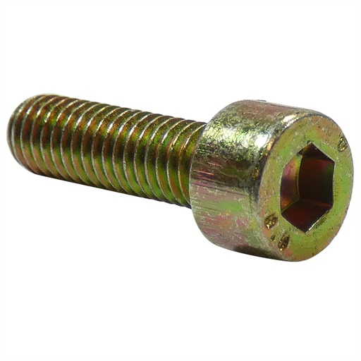 [RX1-15-00198] ROTAX ALLEN SCREW M6X20 DIN 912 241930
