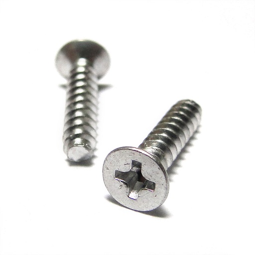[RX1-NAS548-P6-10] Sheet Metal Screw NAS548-P6-10