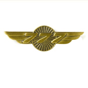 [RX1-14-01607] BOEING 777 WINGS PIN