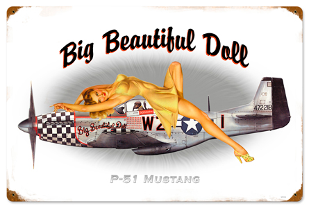 [RX1-13-08243] P51 Pin Up Metal Sign 24X16