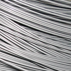 [RX1-03-49610] Spring Wire 302 Stainless Steel .0625
