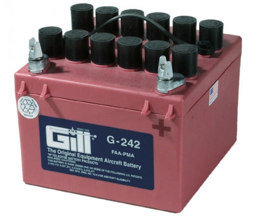 [RX22-TBP-G242] DRY BATTERY LEAD ACID