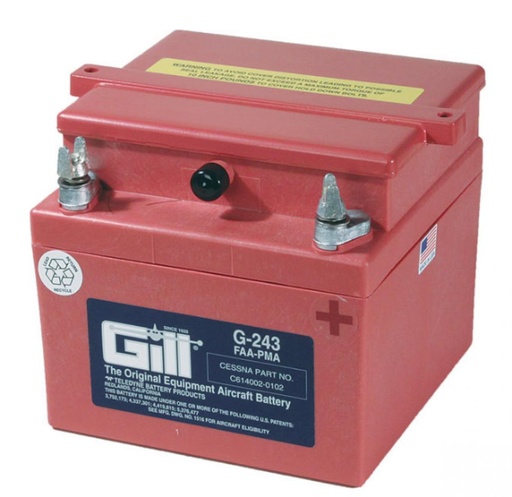 [RX22-TBP-G243] DRY BATTERY LEAD ACID