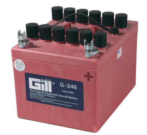 [RX22-TBP-G246] DRY BATTERY LEAD ACID