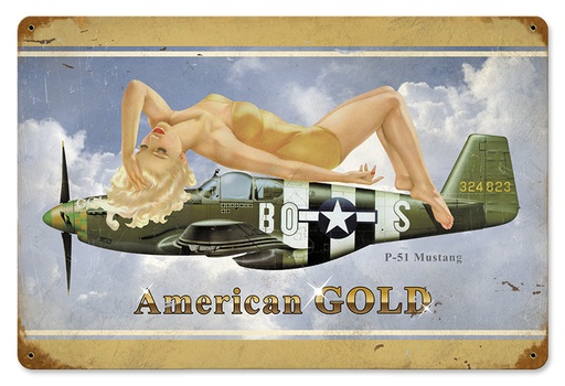 [RX1-13-08547] American Gold Metal Sign 18X12