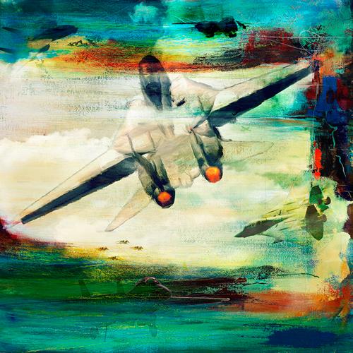 [RX1-13-13159] Martin Young Art The Grumman F-14 Tomcat Print 30X30