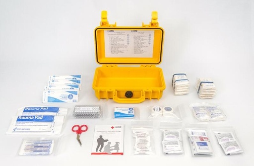 [RX1-13-15957] FL220 First Kit FAA Under Regulations Non-TSO