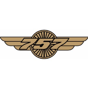[RX1-14-02885] Boeing 757 Wings Pin