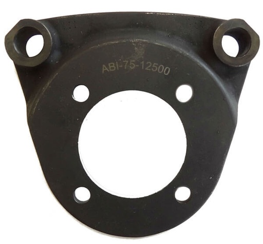 [RX1-06-02901] Brake Anchor Plate ABI-75-12500