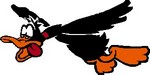 [RX1-09-01960] Flying Duck Decal Large