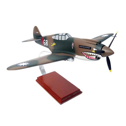 [RX1-13-10565] P-40E Warhawk Model