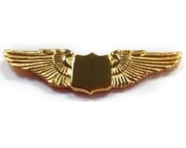 [RX1-14-02745] Tackette Gold Large Wings 1.5