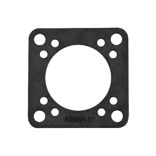 [RX1-08-00313] Vacuum Pump Gasket MS913401