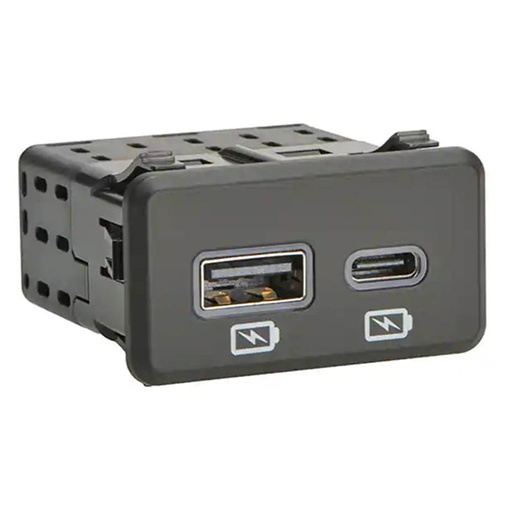 [RX1-10-07142] Radiant USB-C A Dual Charging Port