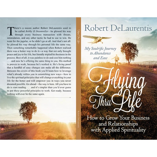 [RX1-13-21405] Flying Thru Life By Robert Delaurentis
