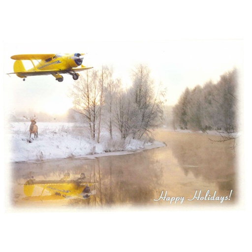 [RX1-13-17470] Staggerwing Winter Greeting Cards Box Of 12