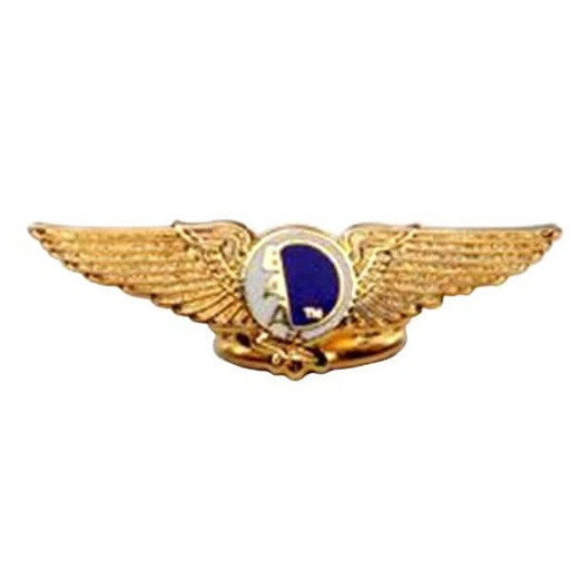 [RX1-13-21995] Pin EAA Heritage Wing Logo