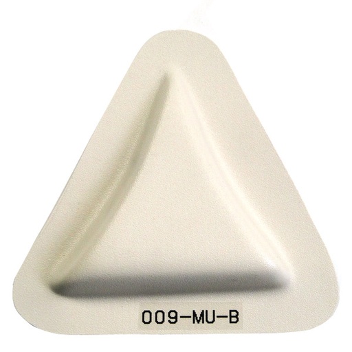 [RX1-05-04250] Cameron Naca Inlet 009-Mu-B