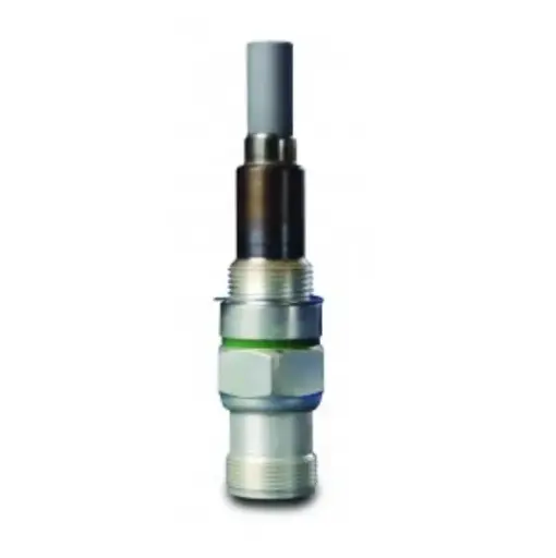 [RX1-07-03239] CH31815-2 Champion Igniter