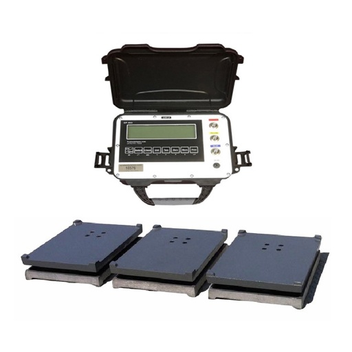 [RX1-12-03801] Weigh-Systems 6000 lb. Capacity Remote Platform Scale