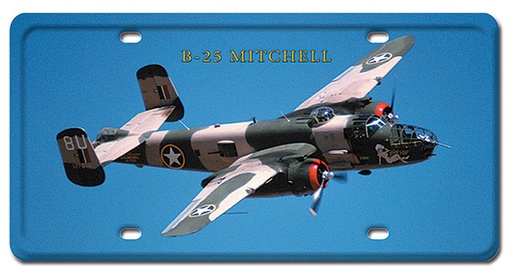 [RX1-13-08206] B-12 Mitchelle Metal License Plate 12X6