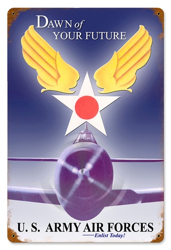 [RX1-13-08276] Dawn Of Your Future Metal Sign 12X18