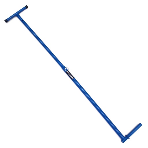 [RX1-13-02210] Towbar Beech Duchess