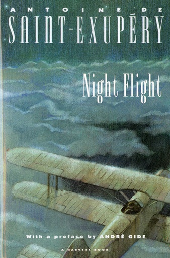 [RX1-13-16896] Night Flight
