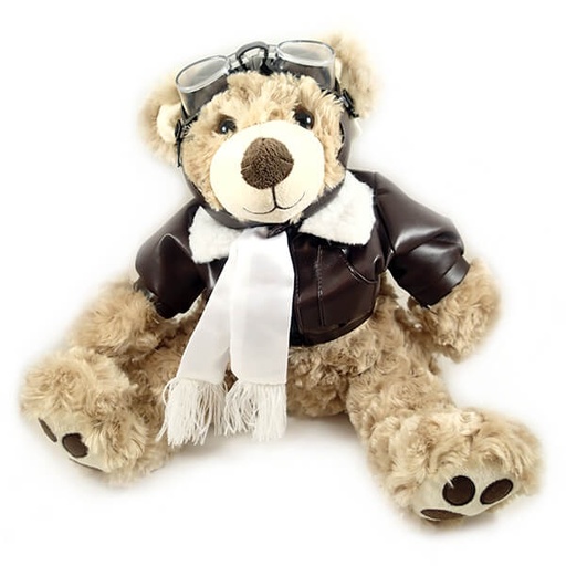 [RX1-14-01859] Pilot Bear 14