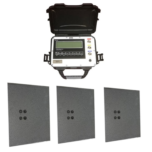 [RX1-12-05505] Weigh-Systems 12000 lb. Capacity Remote Platform Scale