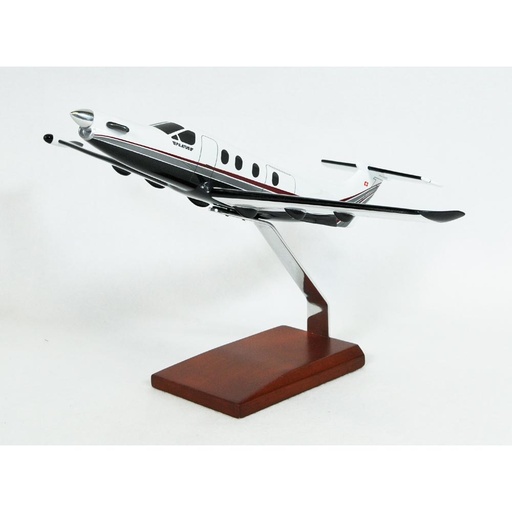 [RX1-13-11045] Pilatus Pc-12 Pinnacle Model