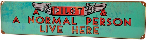 [RX1-13-17616] A Pilot And A Normal Person Metal Sign