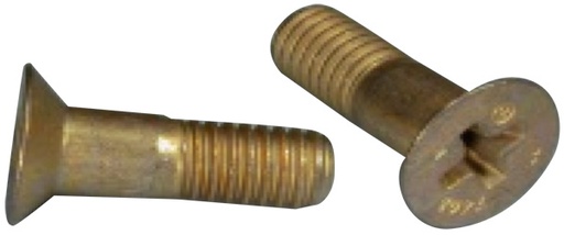 [RX1-NAS7403-3] NAS7403-3 Phillips Screw Flush