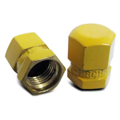 [RX1-2525] Valve Cap MS20813-1 # 2525